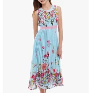 Rare Editions Chiffon Pleated Maxi Dress Mint Blue Pink Flowers Size 18